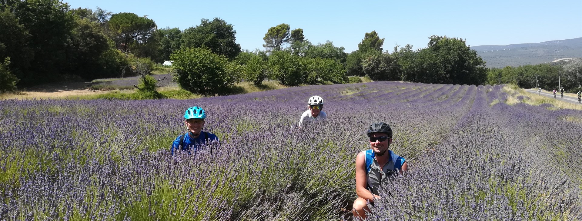 Barvy, chutě a vůně Provence - cyklisticky