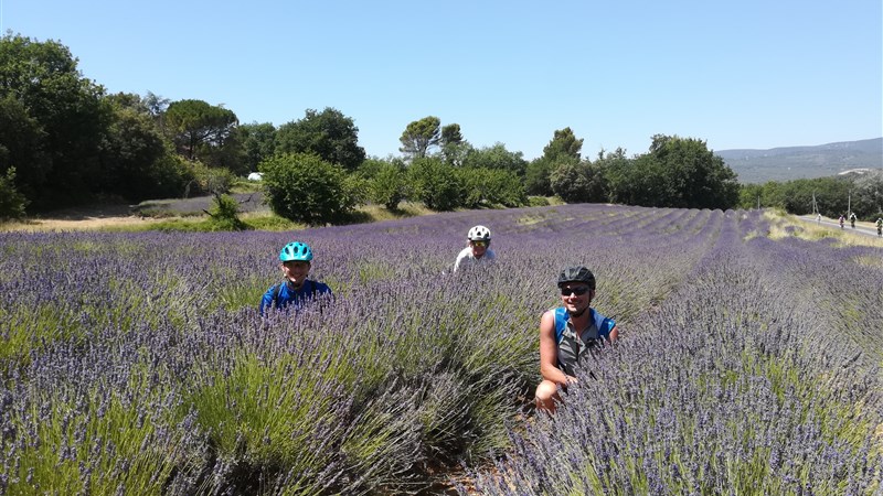 Barvy, chutě a vůně Provence - cyklisticky