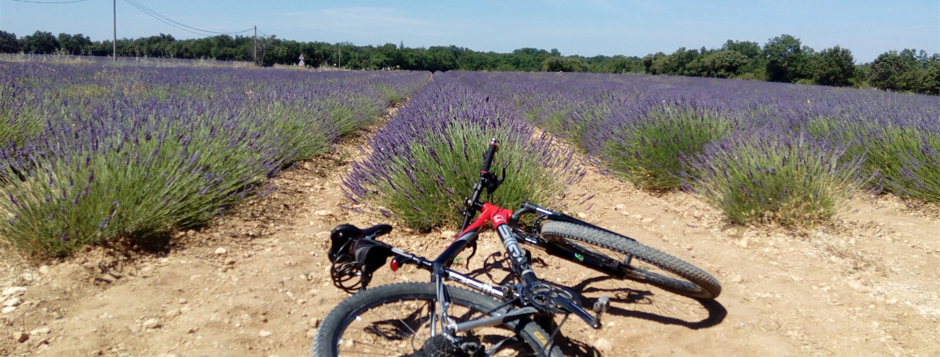 Barvy, chutě a vůně Provence - cyklisticky