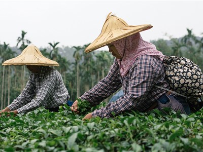 To nejlepší putování okolo Taiwanu