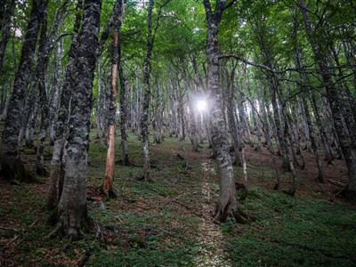 Tisíc mil pěšky přes Balkán