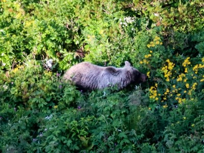 Tisíc mil pěšky přes Balkán