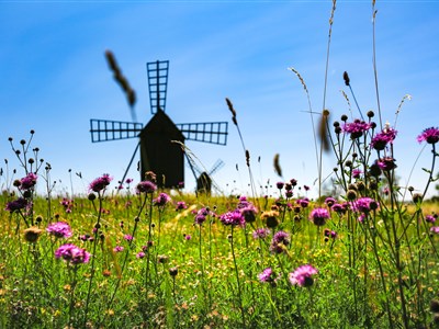 Švédskem a Norskem za polární kruh