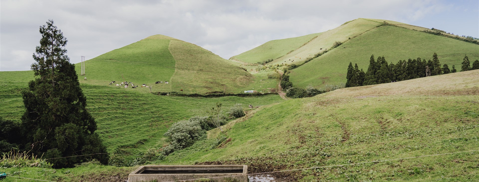 Azorské ostrovy: Terceira a São Jorge  - jednodenní túry