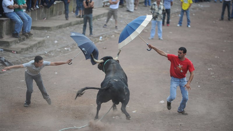 Azorské ostrovy: Terceira a São Jorge  - jednodenní túry