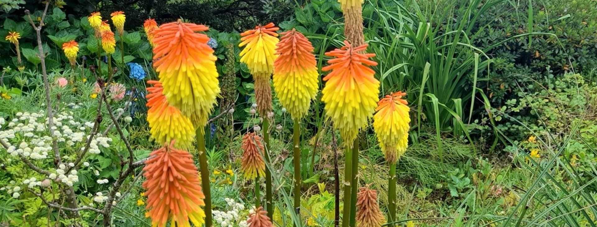 Azorské ostrovy: Terceira a São Jorge  - jednodenní túry