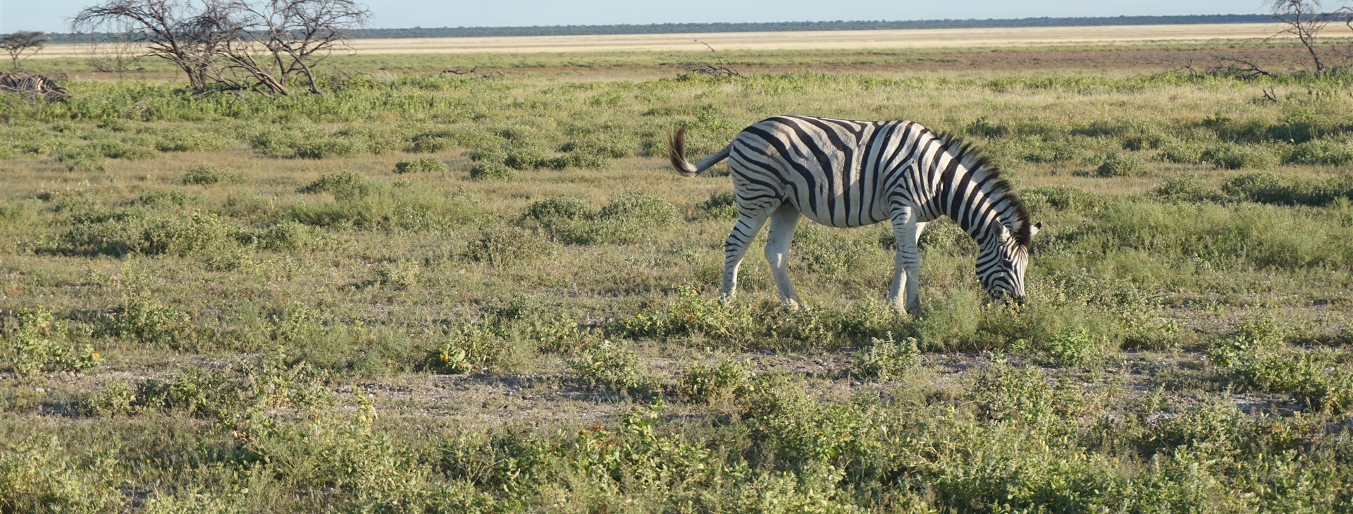 To nejlepší z Namibie