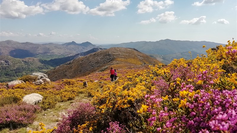 Portugalsko: Peneda-Gerês - GR 50