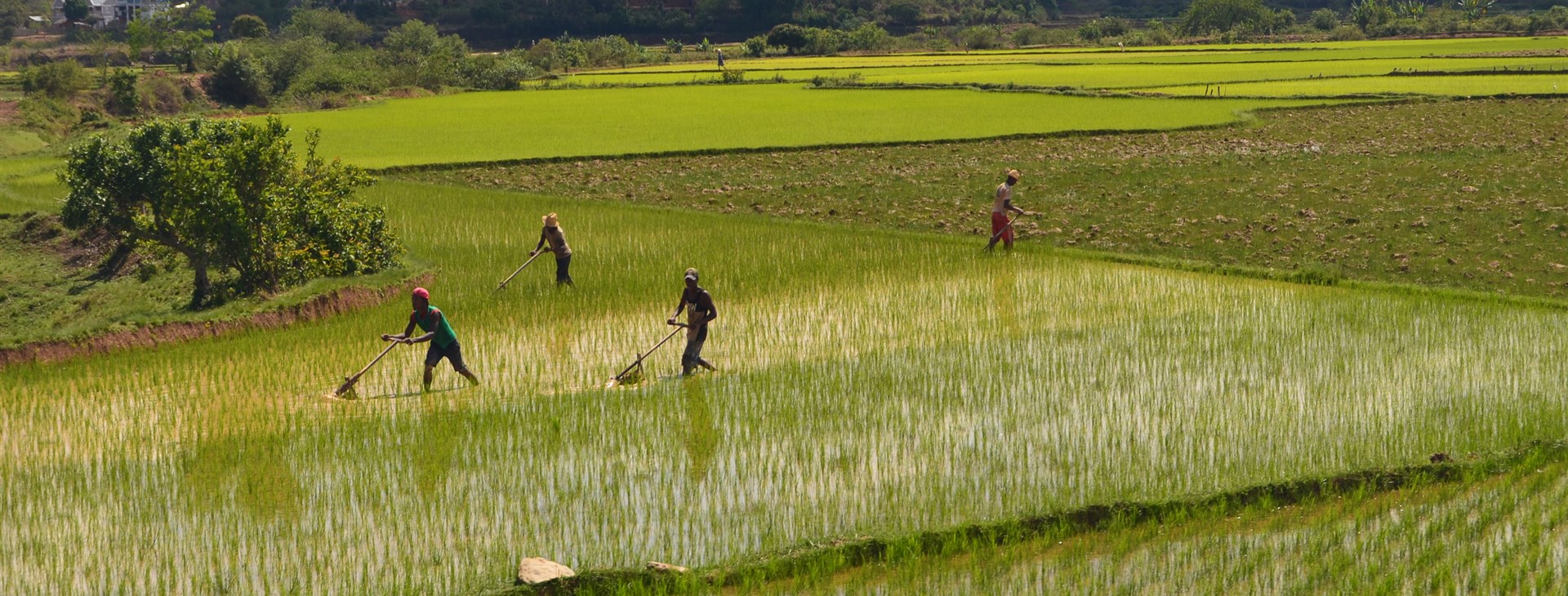 Madagaskar pohodověji