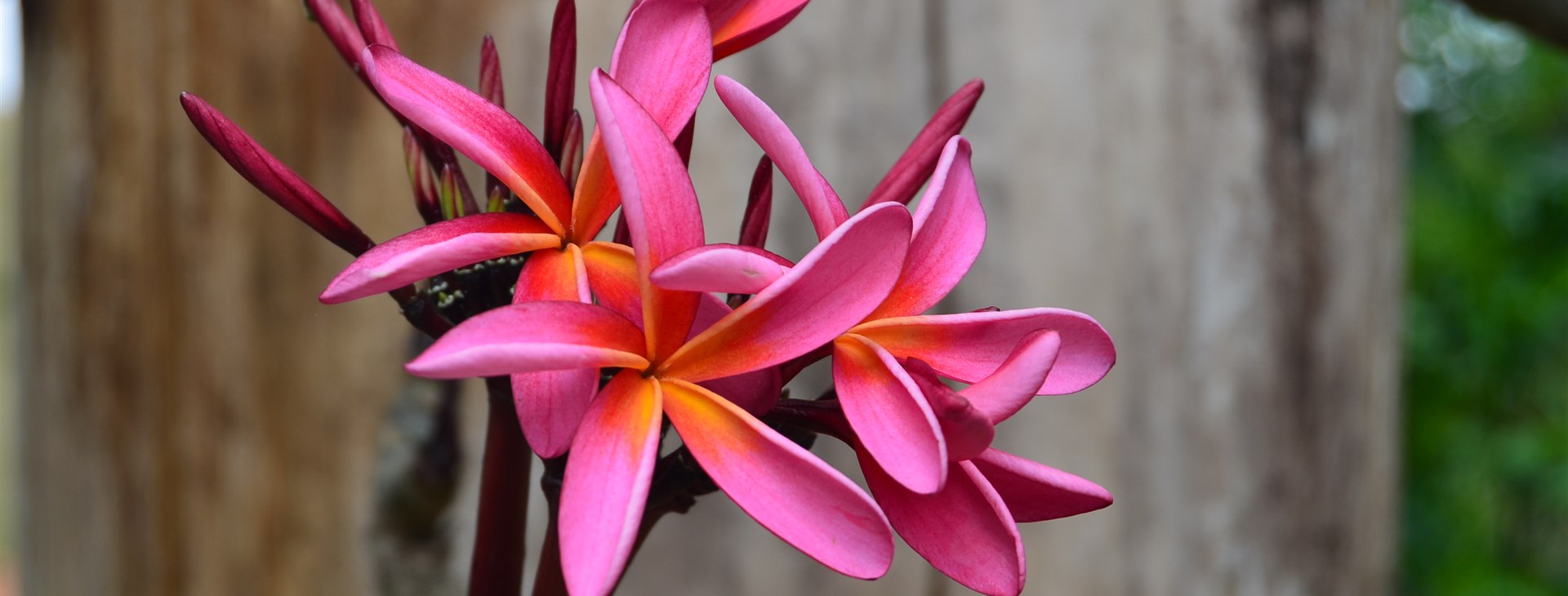 Madagaskar pohodověji