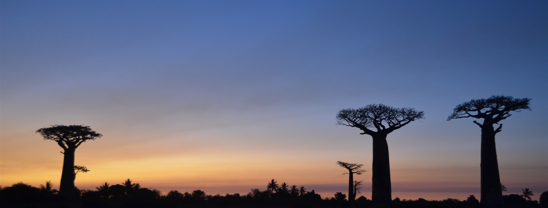 Madagaskar pohodověji