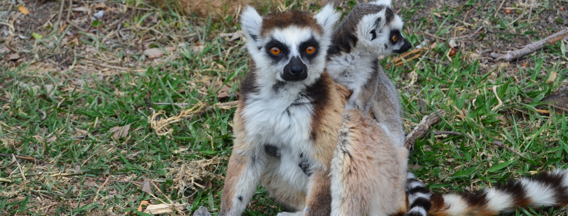 Madagaskar pohodověji