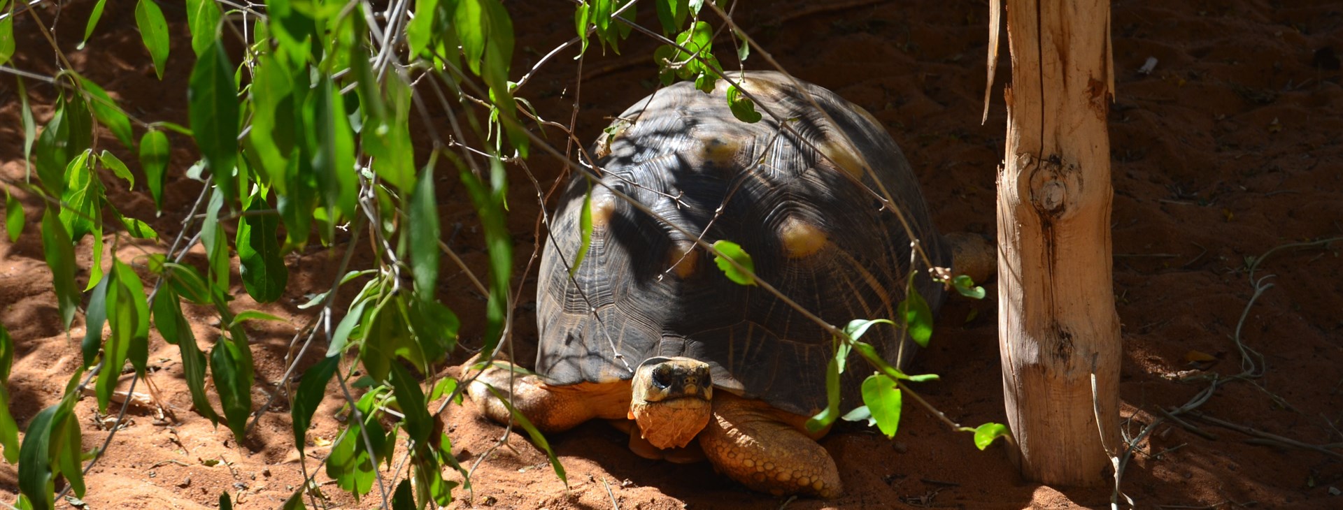 Madagaskar pohodověji