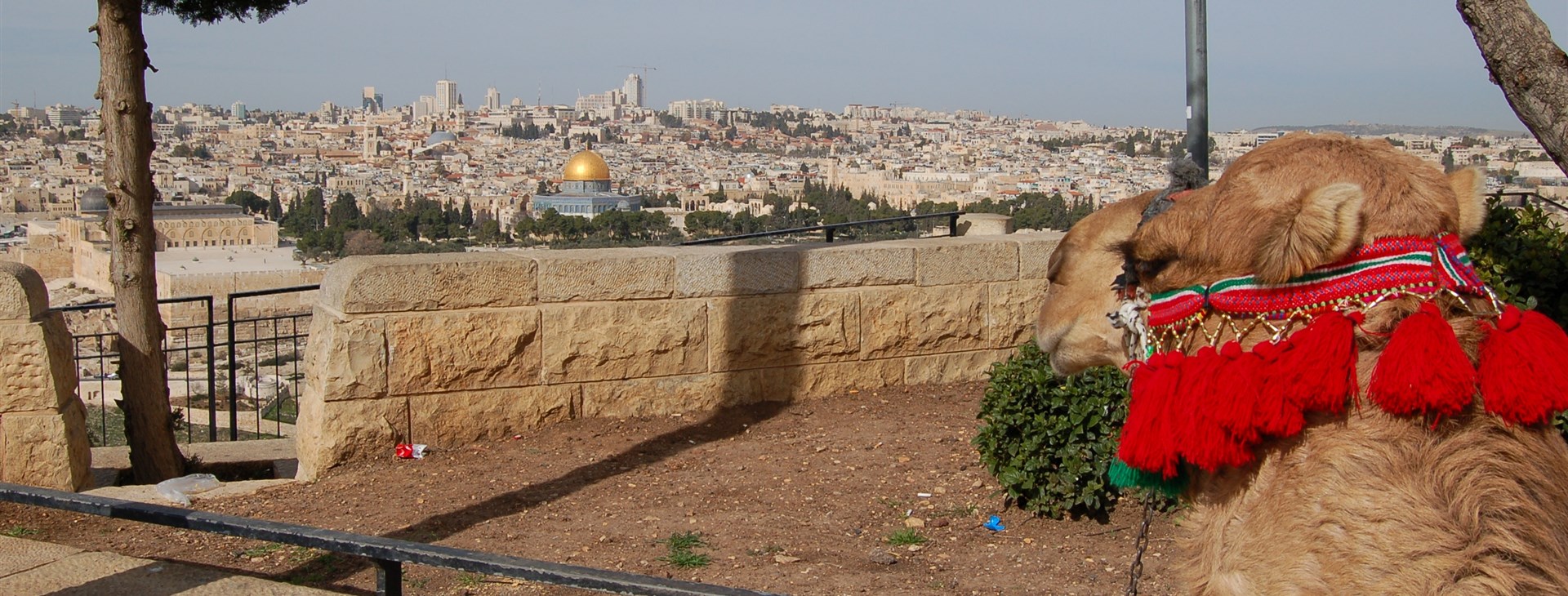 Adventní Izrael a Palestina