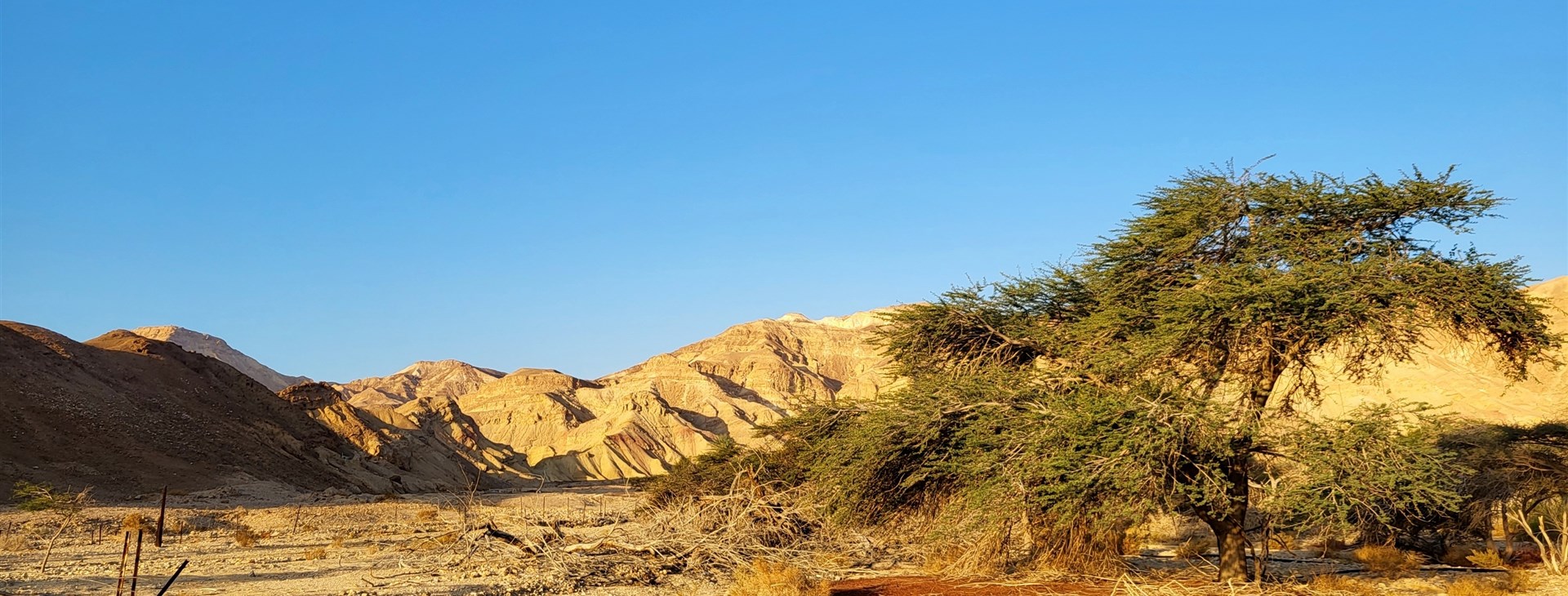 Izrael - expedice do Negevské pouště