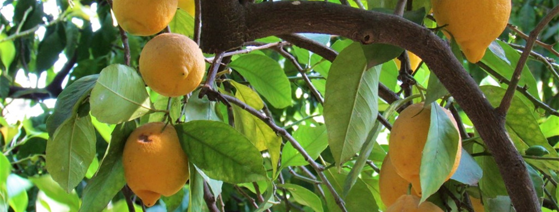 To nejlepší z Andalusie