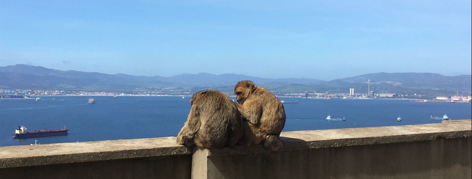 autor: Martin Brožka